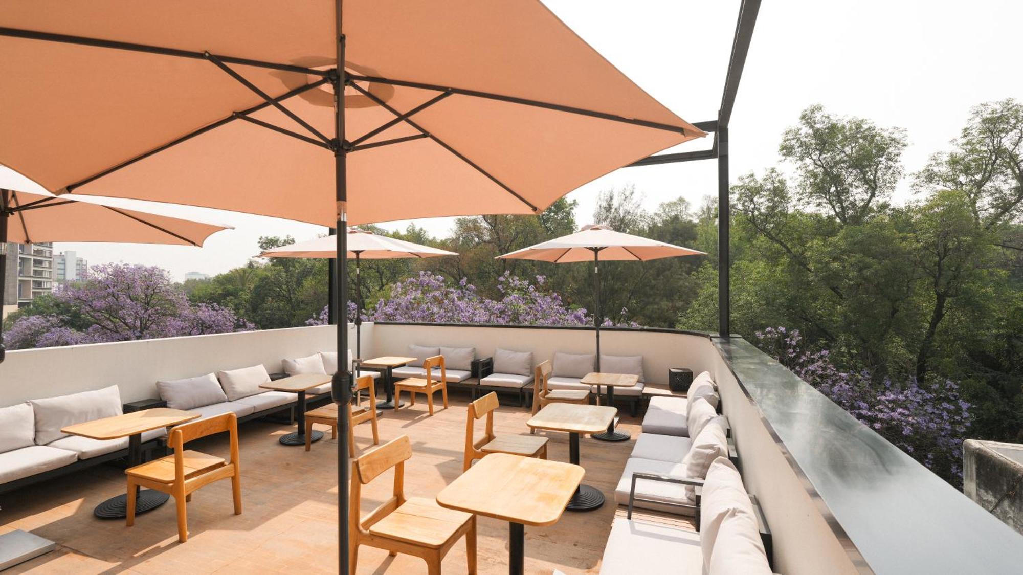 Rodona Hotel Mexico City Eksteriør billede